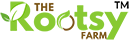 logo-header1